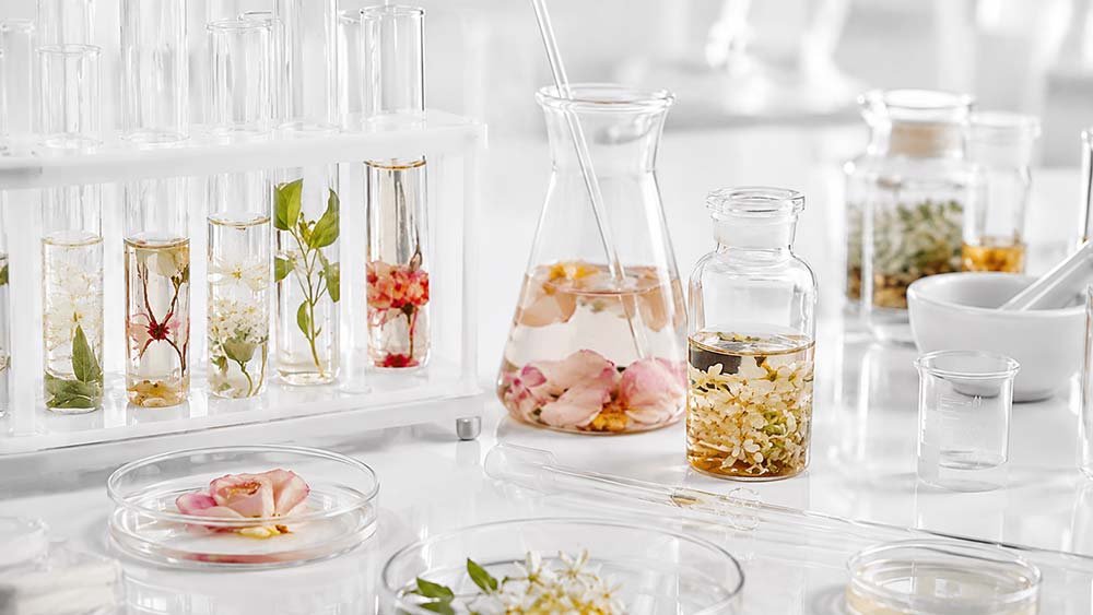 Botanical ingredients prepared for fermented skincare research and formulation development